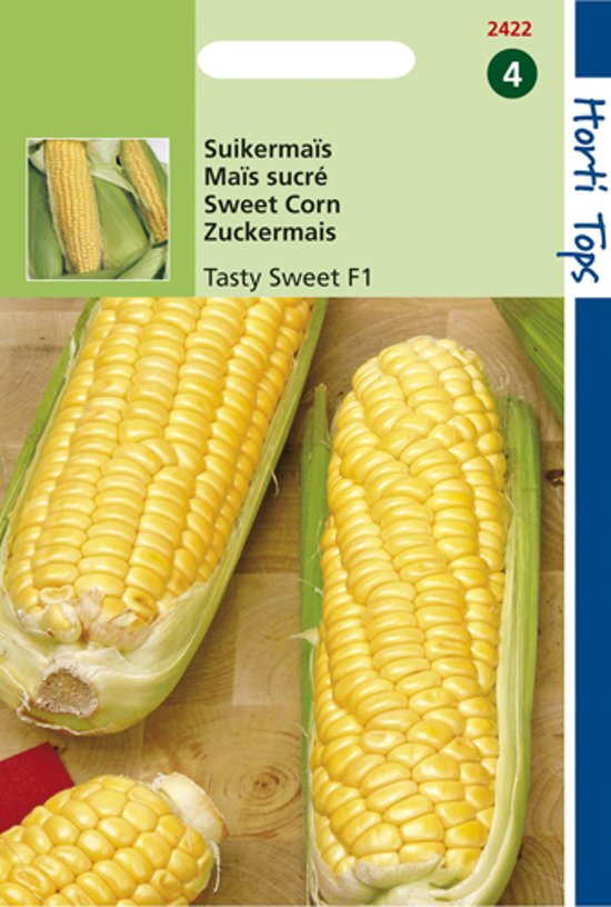 Sweet corn Tasty Sweet F1 (Zea mays) 50 seeds HT